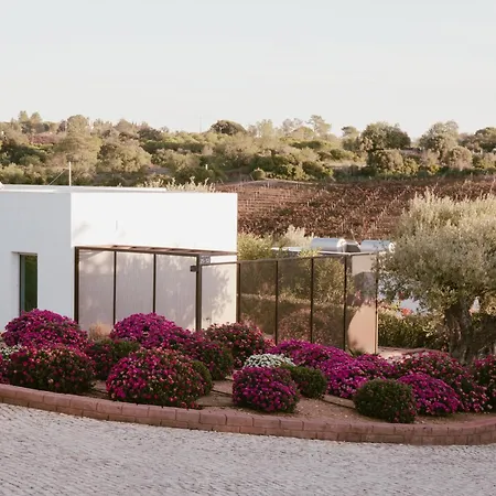 Country house Quinta Dos Vales Wine Estate *