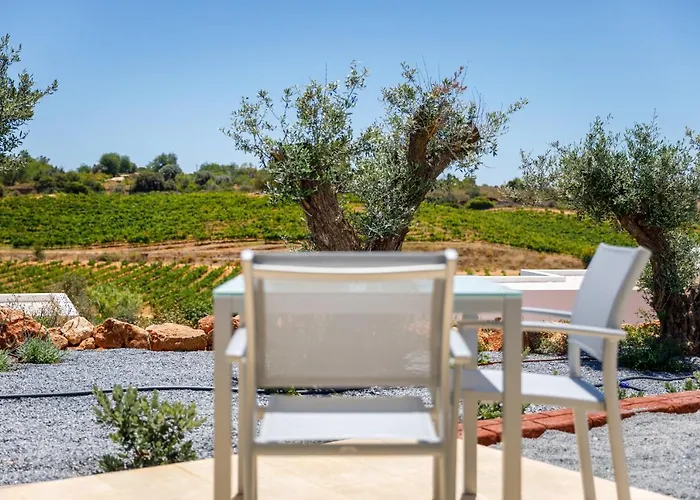 Quinta Dos Vales Wine Estate