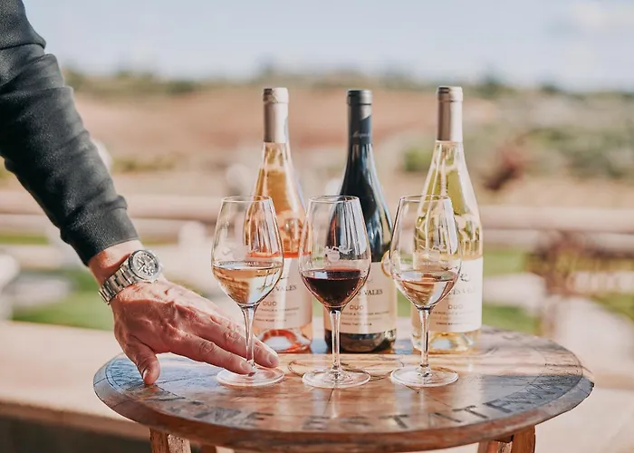 Quinta Dos Vales Wine Estate Séjour à la campagne