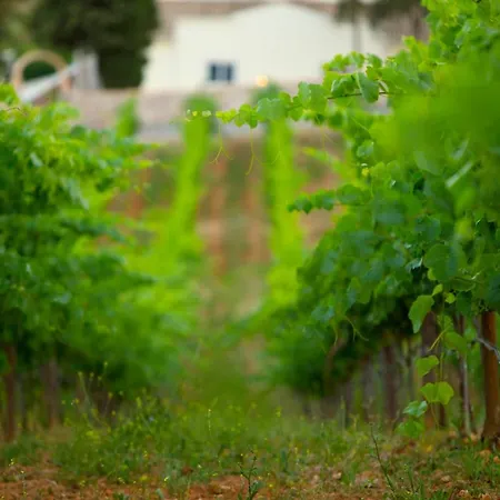 Quinta Dos Vales Wine Estate *